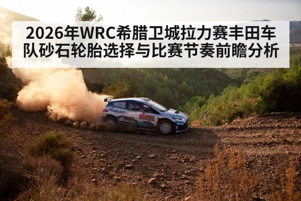 rally tires gravel closeup