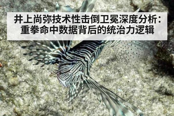 井上尚弥技术性击倒卫冕深度分析：重拳命中数据背后的统治力逻辑